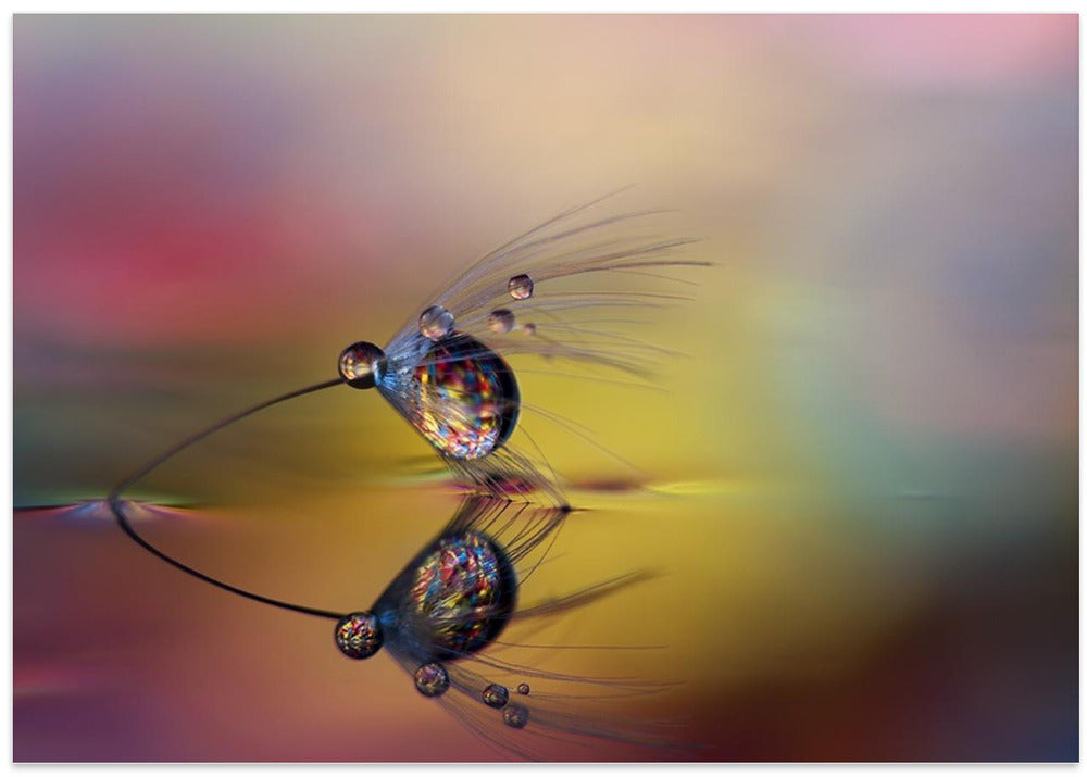 Colorize the darkness