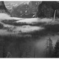 Fog Floating In Yosemite Valley
