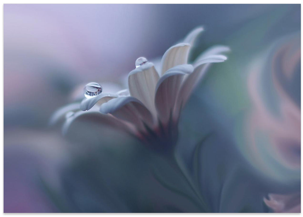 Behind Closed Eyes...