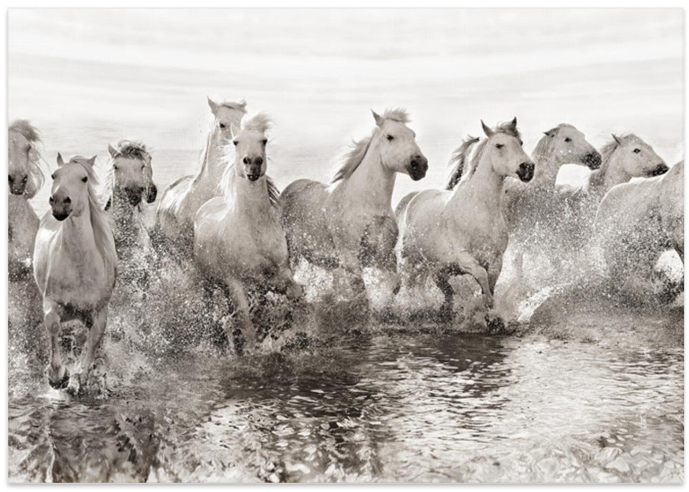 Illusion of power (13 horse power though)