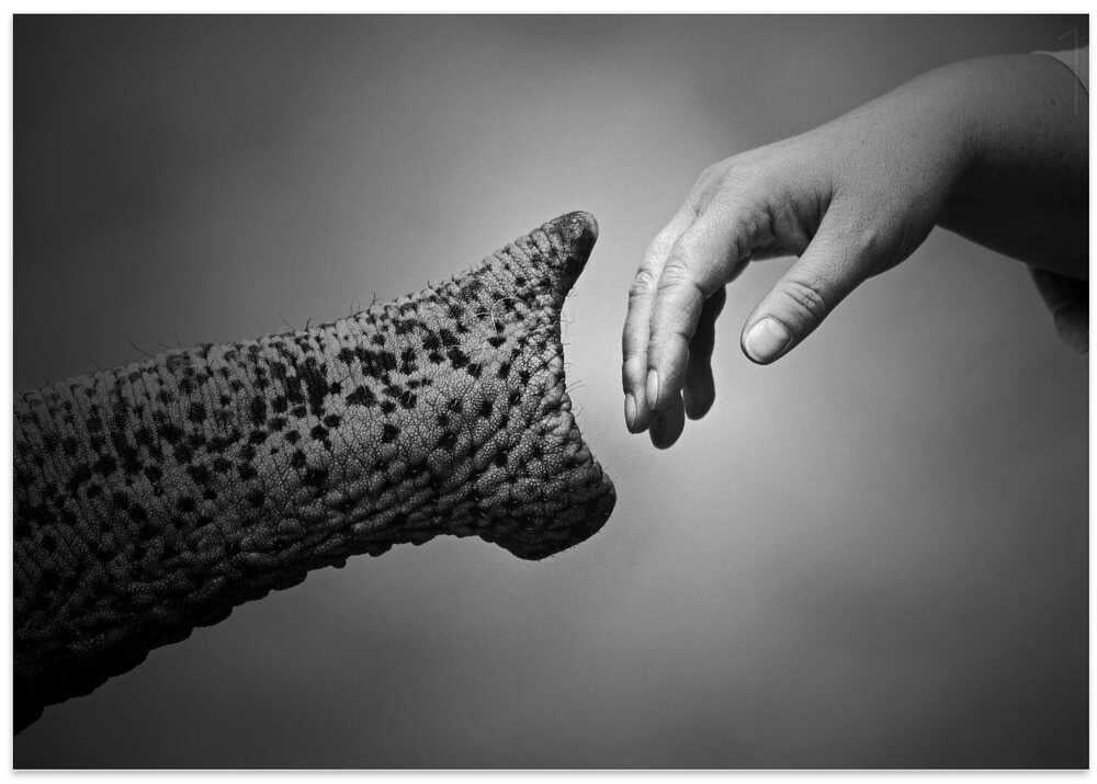 WALKING TOGETHER ....