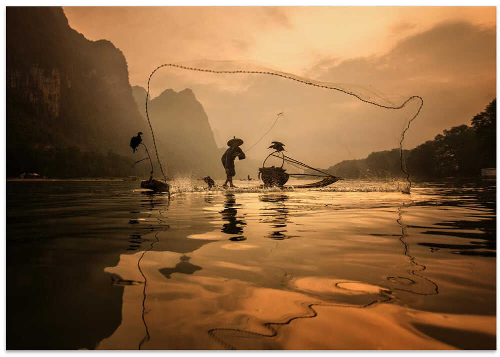 Spread The Fish Nets