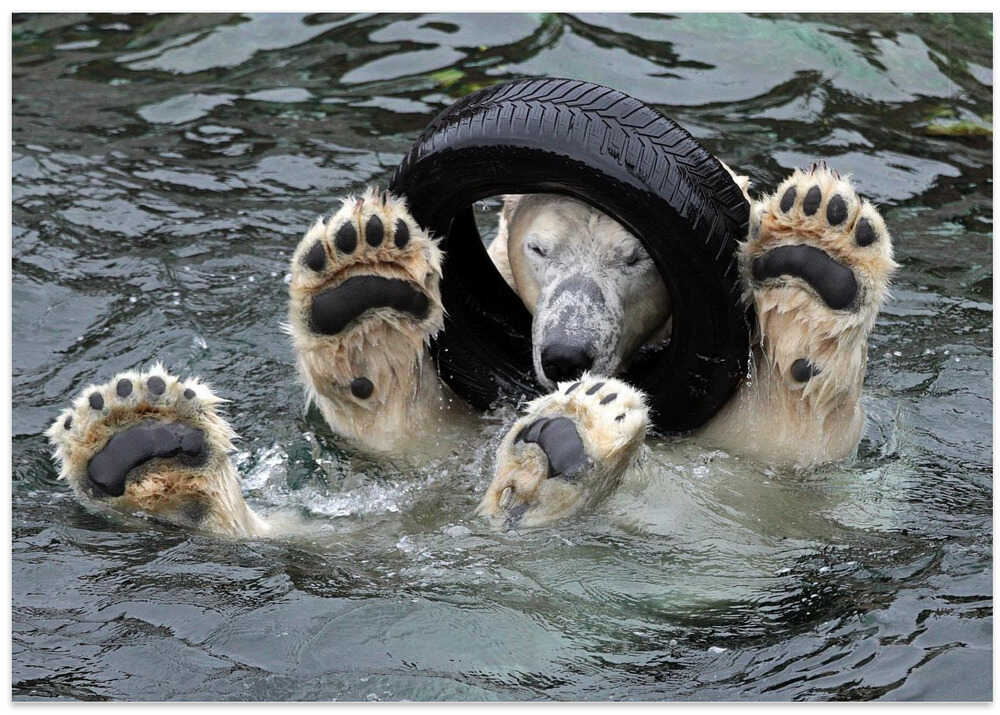 PLAYING THE TIRE (or: THE MECHANIC ;-)