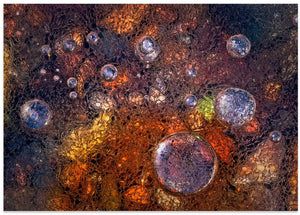 Art Prints of Winter Over Autumn