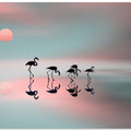 Family flamingos.