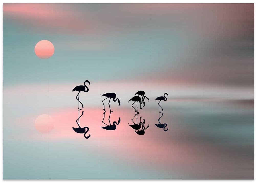 Family flamingos.