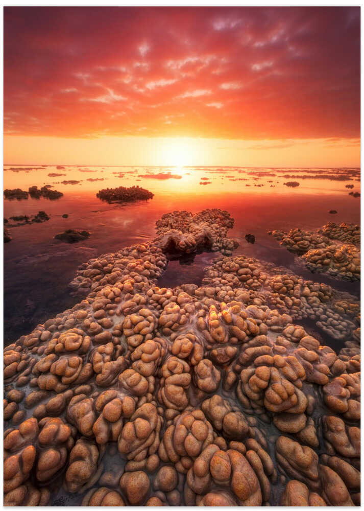 Low tide on the lagoon of Saint Leu.