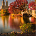 Fall in Central Park