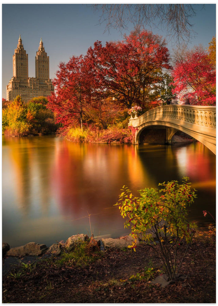 Fall in Central Park