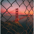 Art Prints of Golden Gate Caged