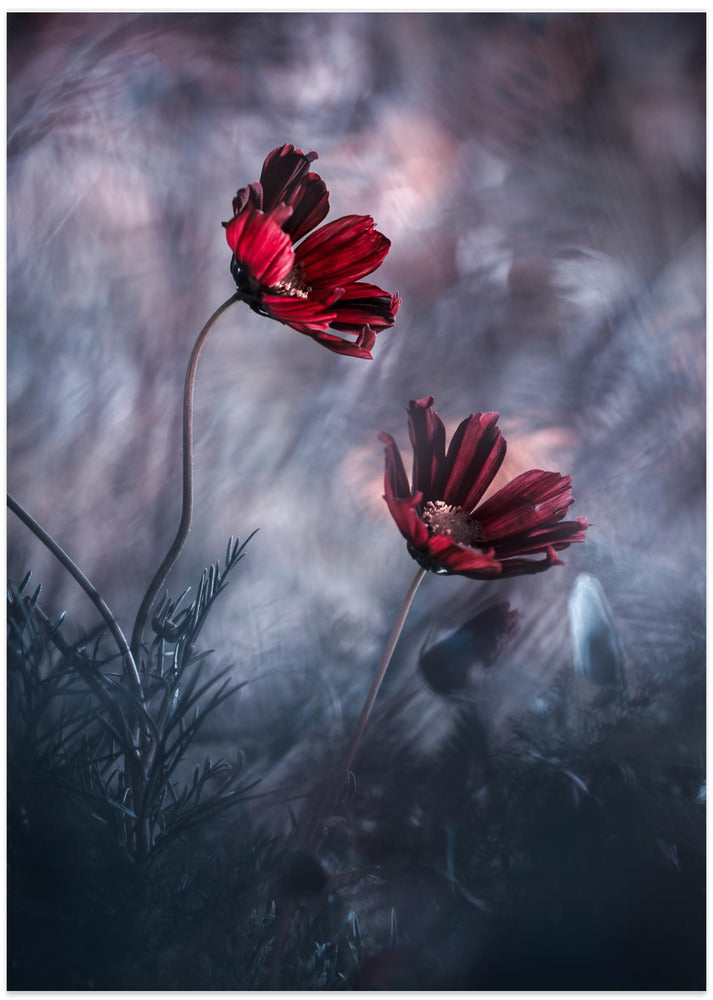 I will always be there for you