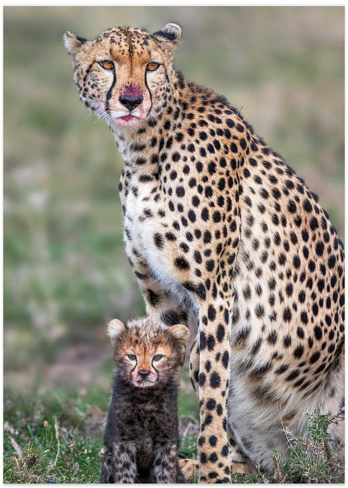 Do I look like my mom?