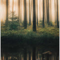 Reflection in the foggy forest