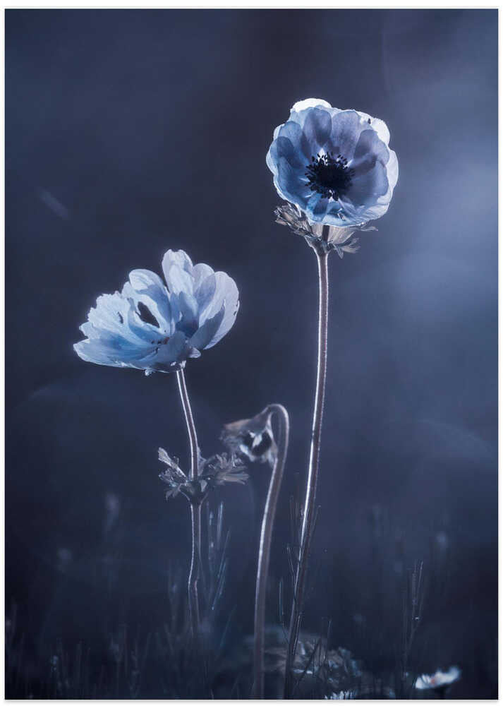 Meanwhile, oustide walls