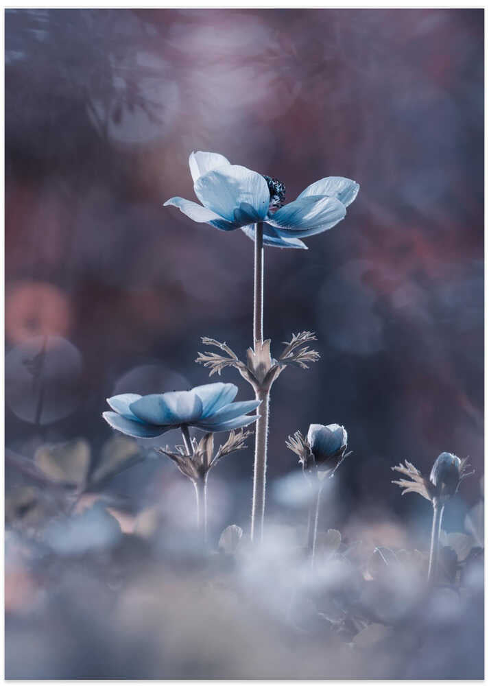 The beginning of a new era