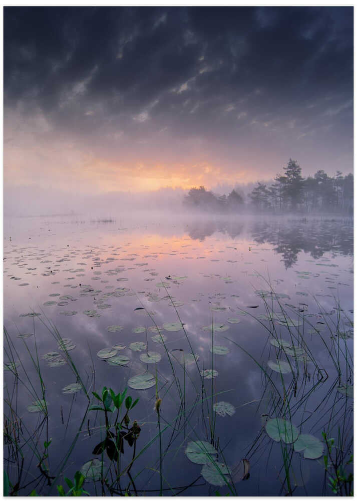 One morning I woke up