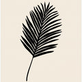 Black Palm