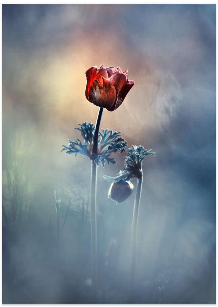 Where poetry and memories remain