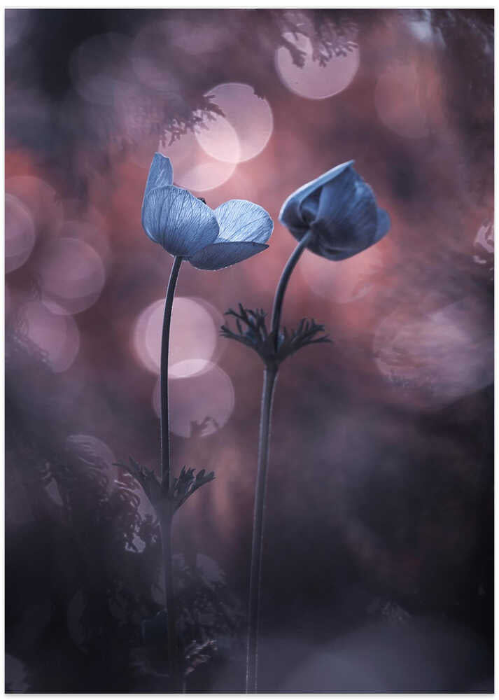 Why does my heart feel so bad