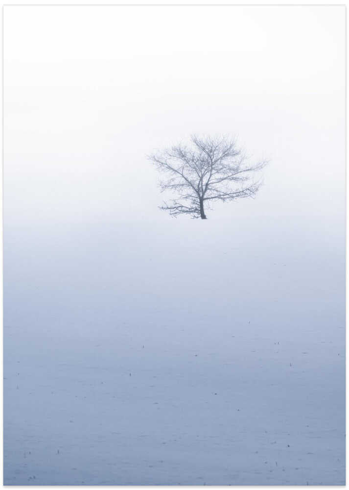 Small tree on hil during misty weather with snowfall