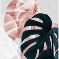 Monstera Creative 09