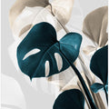 Monstera Creative 10