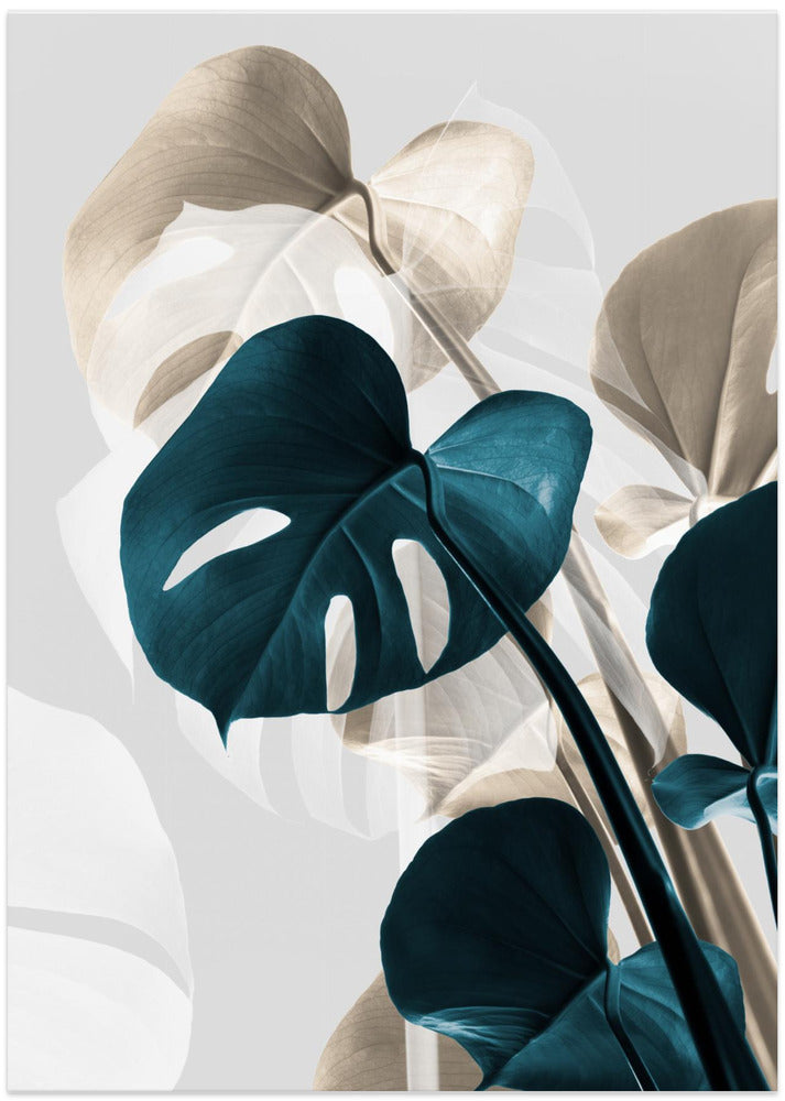 Monstera Creative 10