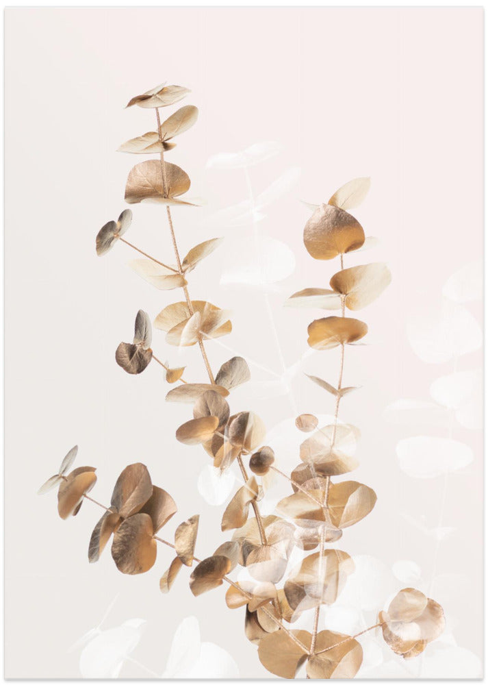 Eucalyptus Creative Gold 03