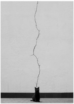 Art Prints of Cat thoughts