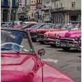 Art Prints of havana mood