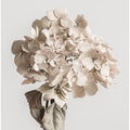 Beige dried flower