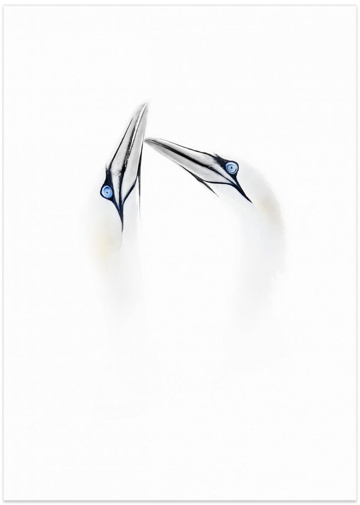 Art Prints of Tenderness