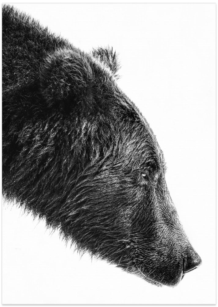 Art Prints of The Salmon Catcher