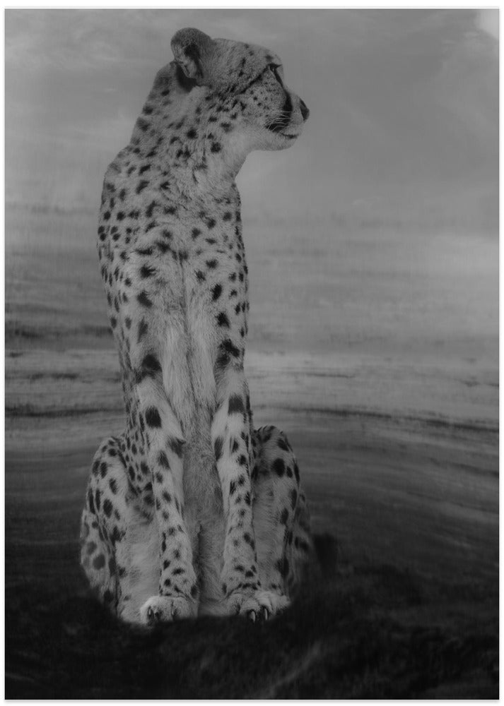 Art Prints of Cheetah on the Watch