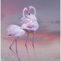 Art Prints of Flamingo Ballet