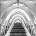 Art Prints of Calatrava lines