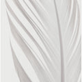 Feather_006