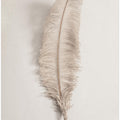 Feather_002
