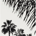 Palm_006