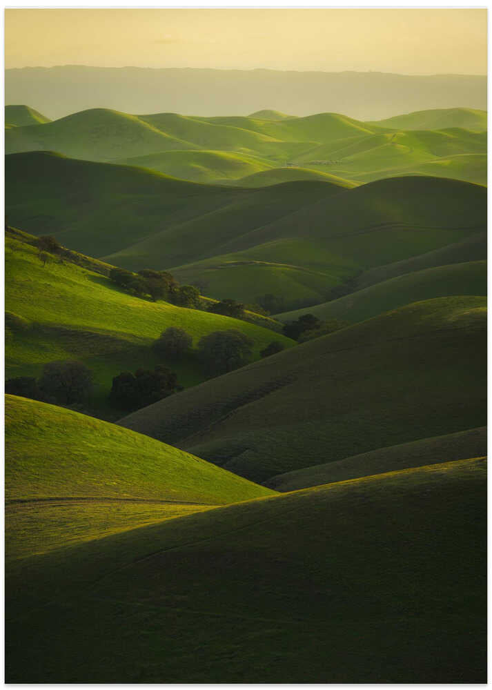 Rolling Hills