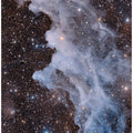 The Witch Head Nebula