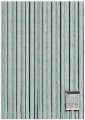 Art Prints of Green window