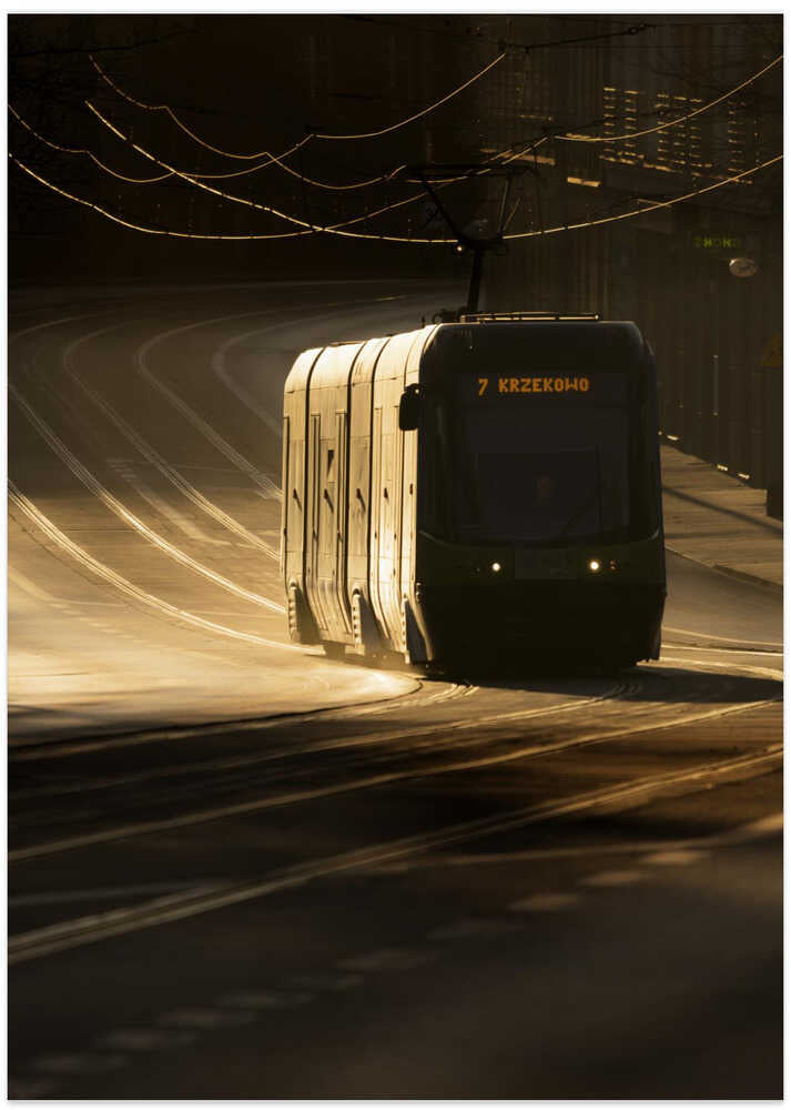 Golden urban morning