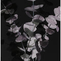 Eucalyptus_Negative_001