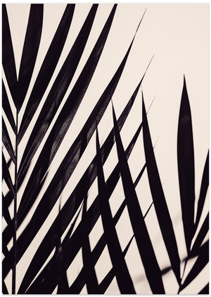 Art Prints of Guldpalm black