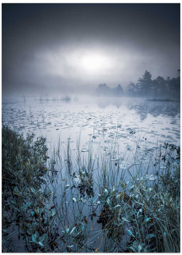 Scandinavian morning