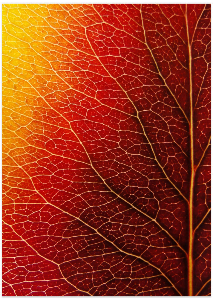 Autumn Leaf