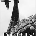 Paris Dove