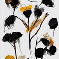 Black Dry Flowers