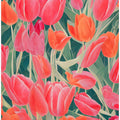 Pink Tulips